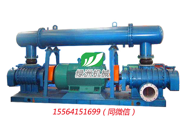 双极串联高压罗茨鼓风机