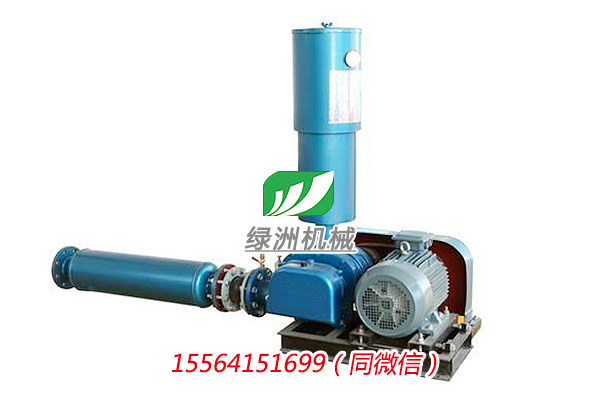 LZSR50型罗茨鼓风机