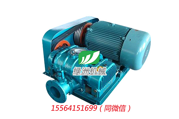 LZSR250B型罗茨鼓风机